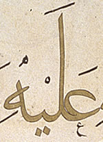 Folio detail