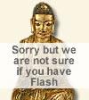 Sorry but we are not sure if you have flash
