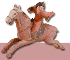 Polo player
