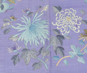 Chrysanthemum
