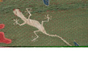 Lizard