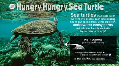 Hungry Hungry Sea Turtle!